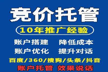 搜索引擎营销（SEM）成功案例详解